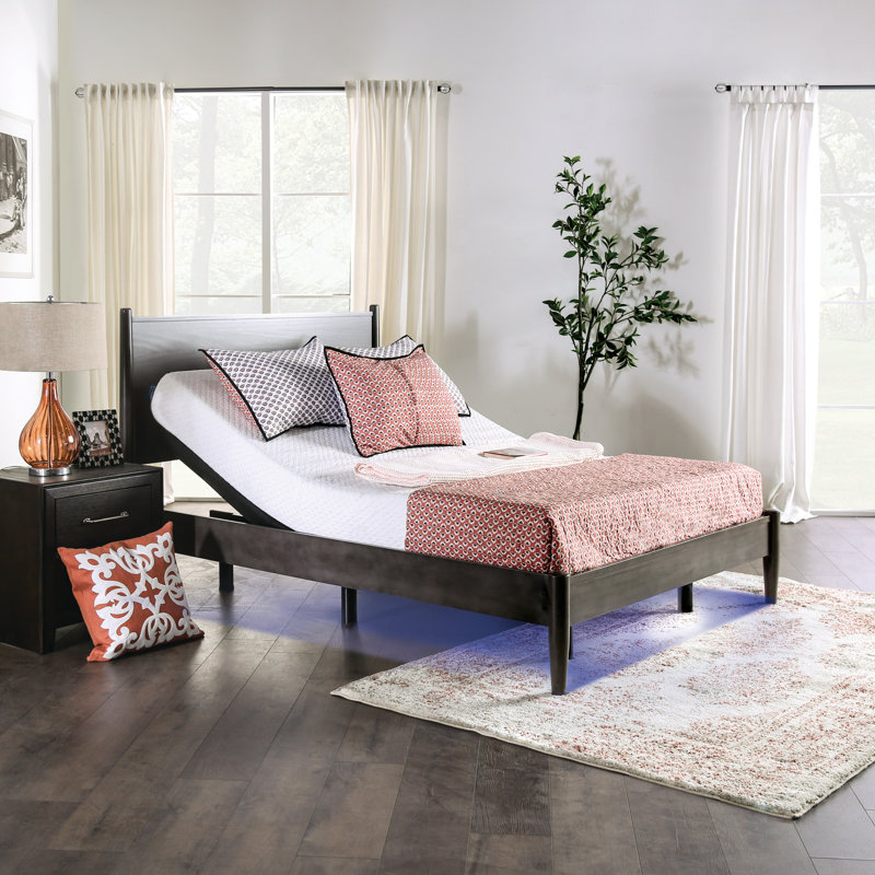 Devola 14" Adjustable Bed with Wireless Remote, Queen