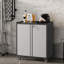 Classeur en acier verrouillable avec roulettes, organisateur de rangement en métal à 2 portes avec tablettes réglables, coffre de rangement pour bureau et garage, gris