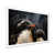 White Single Picture Frame