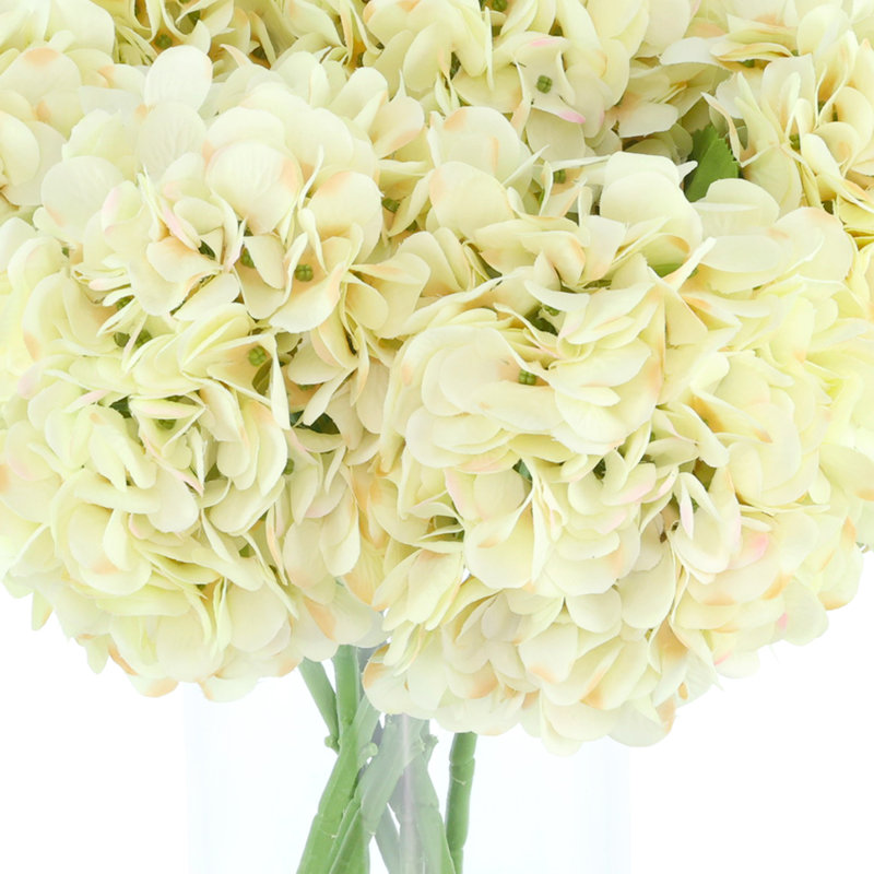Hortensias disposés dans un vase en verre, Crème, crème
