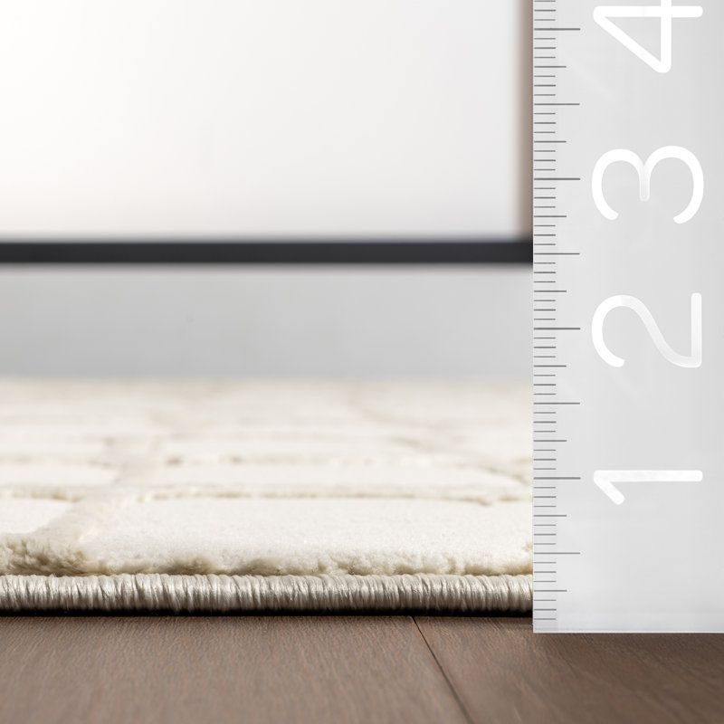 Eunice Modern Machine Washable Area Rug, Rectangle 4' x 6'