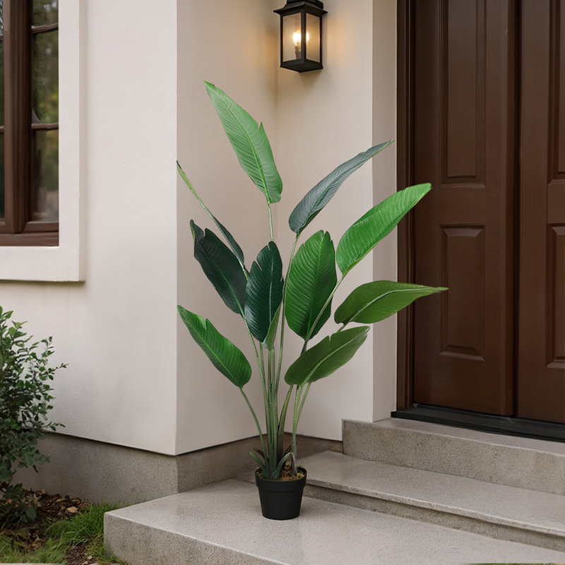 160cm Faux Bonsai Plant in Fabric；Plastic Freestanding