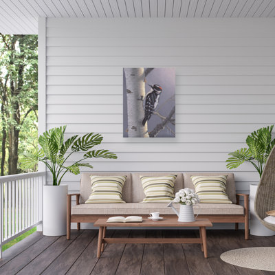 Jeff Hoff Downy Outdoor  Canvas