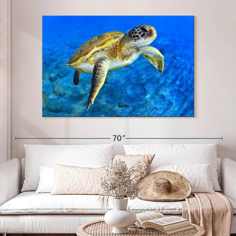 Brampt Sea Turtle Explorer, 34" H x 51" W