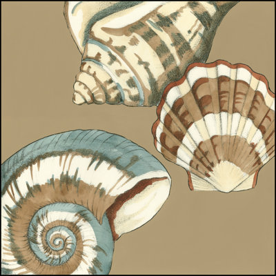 Small Shell Trio On Khaki II by Megan Meagher - Wrapped Canvas Print