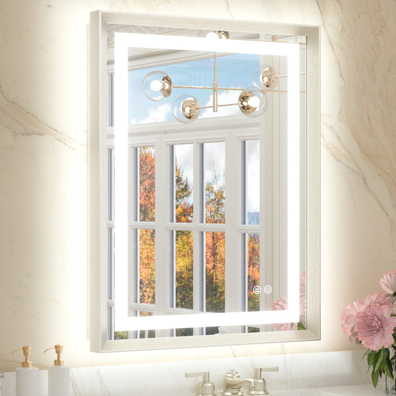 Miroir de salle de bain Dineen, Nickel brossé, 30 po x 22 po