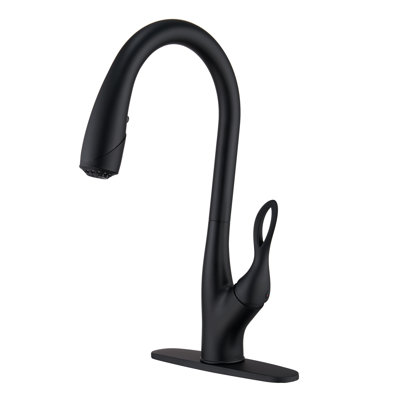 Mondawe Pull Down Kitchen Faucet