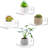 4 Piece Square Glass Floating Shelf