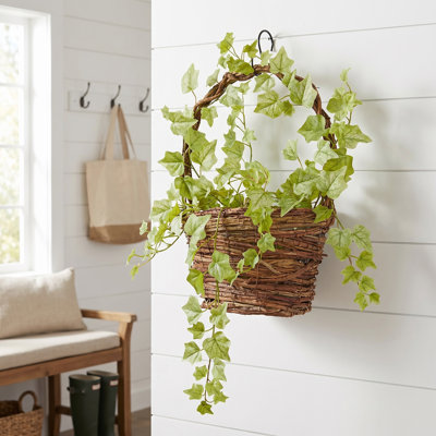 25" Lemon Lime English Ivy Spray 