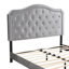 Bouton de lit rembourré capitonné avec un design incurvé - Support de lattes en bois robuste - Assemblage facile - Velours gris clair - Avec lit plateforme à DEL - Grand