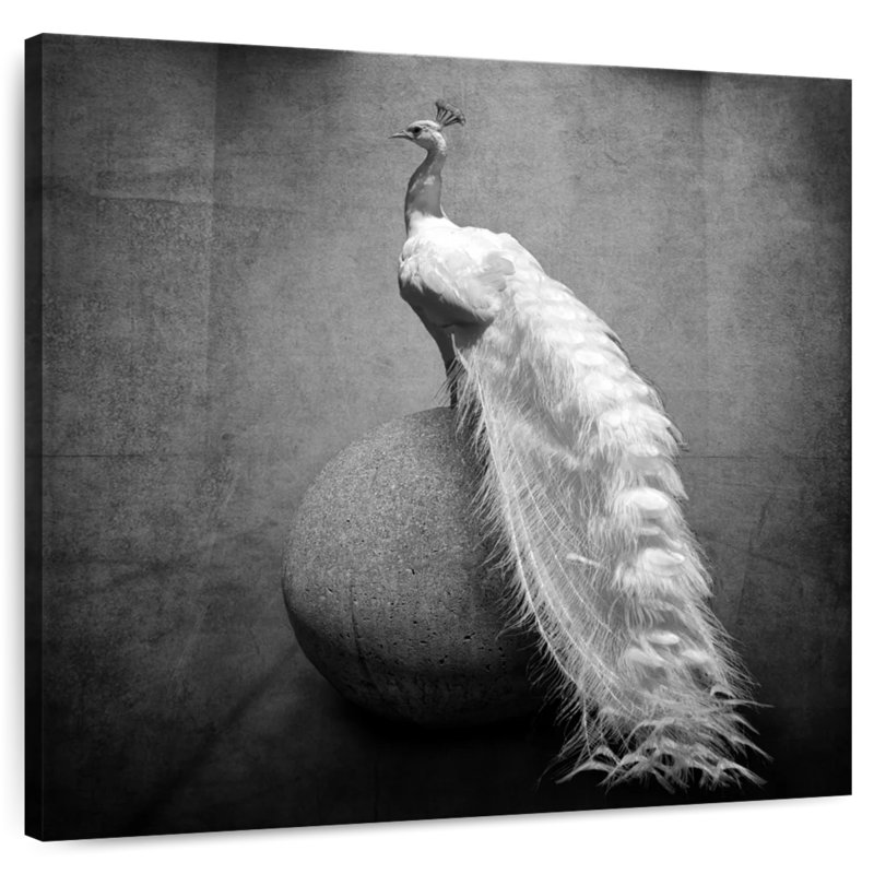 Crowle Peacock, 10" H x 10" W