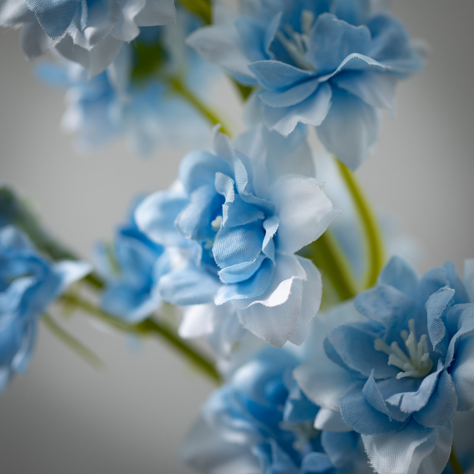 Larkspur Sprays, Blue