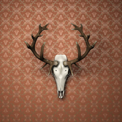 Deer Head on Brownish Wallpaper by Sitox