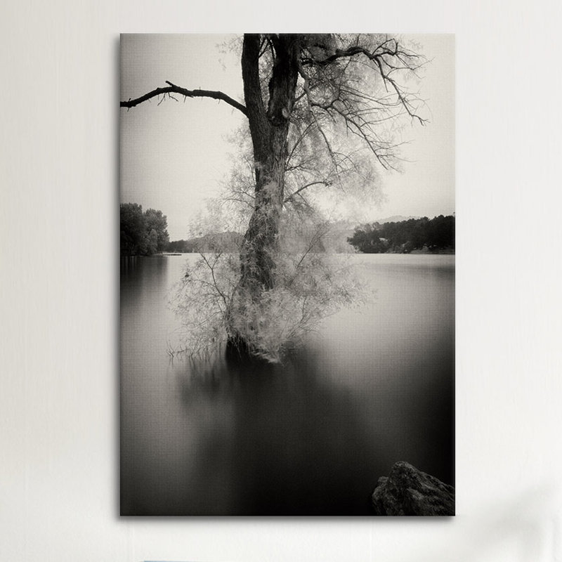 Surfactant - reproduction de photo sur toile, H 12 po x l 8 po x P 0,75 po, Pas de tapis, Toile tendue