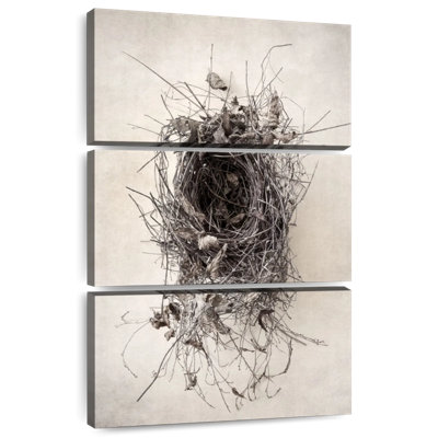 Brampt Nest II