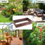 Isan Wood Raised Garden Bed