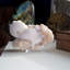 Scolécite sur Stilbite