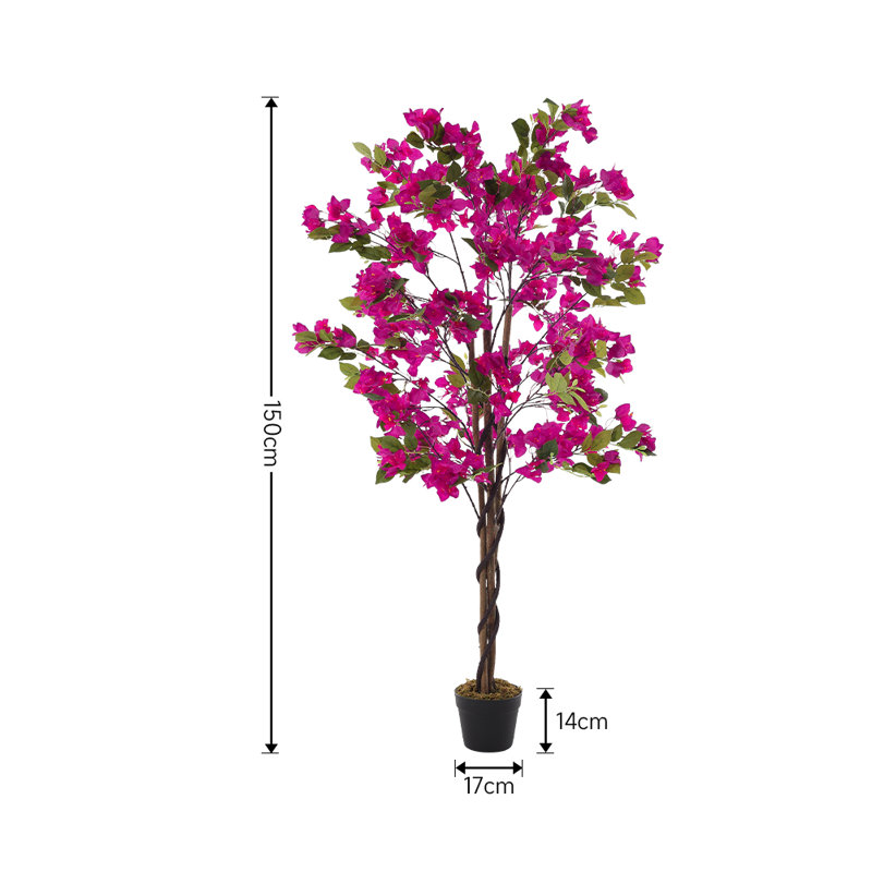 150cm Plant