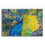 Bungalow rose «Poised Peacock 2» par St. Hilaire Elizabeth, art mural en verre acrylique-89103235