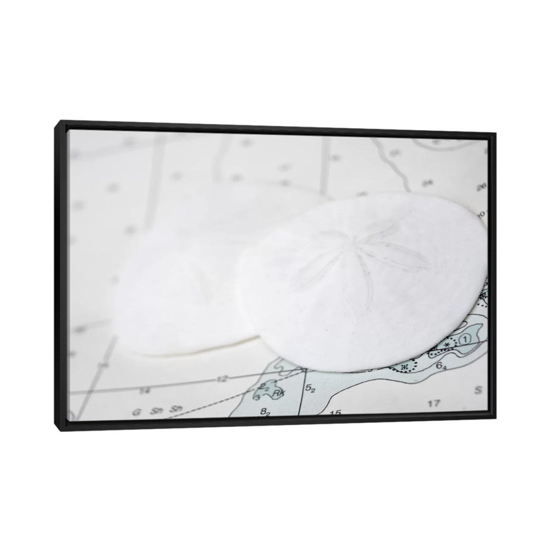 Nautical Sand Dollars par Savanah Plank - reproduction de photo sur toile tendue, H 18 po x l 26 po x P 1,5 po, Pas de tapis