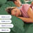 Bamboo Sheet Set, Cooling & Breathable Bed Sheets, Soft Hotel Luxury Bedding, Deep Pocket Fit-103254563-103254567