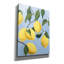 Toile épique «Lemon Tree Light» par Pamela Munger-106173696