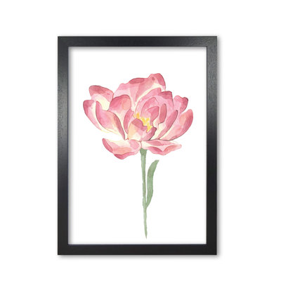 Watercolour Pink Flower - Painting