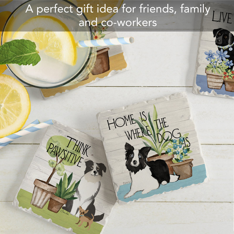 Ensemble de 4 sous-verres Bark & Bone
