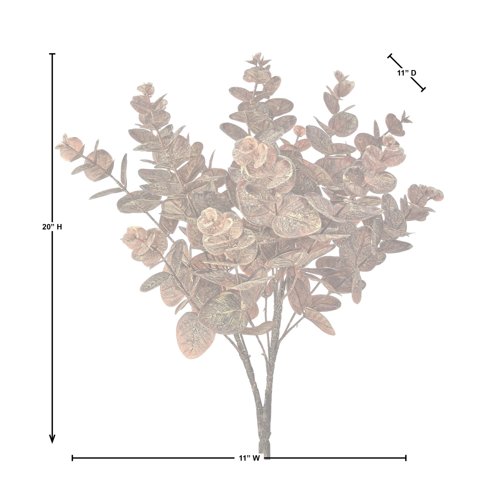 Autumn Eucalyptus Stems, Brown