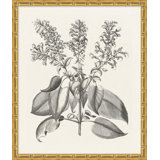 Bessler Study Neutral 10' Framed Graphic Art Print on Glass