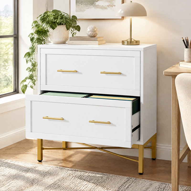 Niera 31.49 " Wide 2 Drawers Lateral Filing Cabinet, White