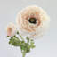 Ranunculus Faux Floral-1373698715