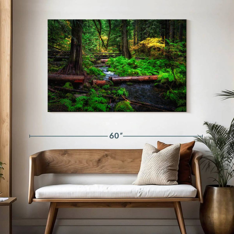 Ruisseau Alvord Willamette National Forest, H 32 po x l 48 po