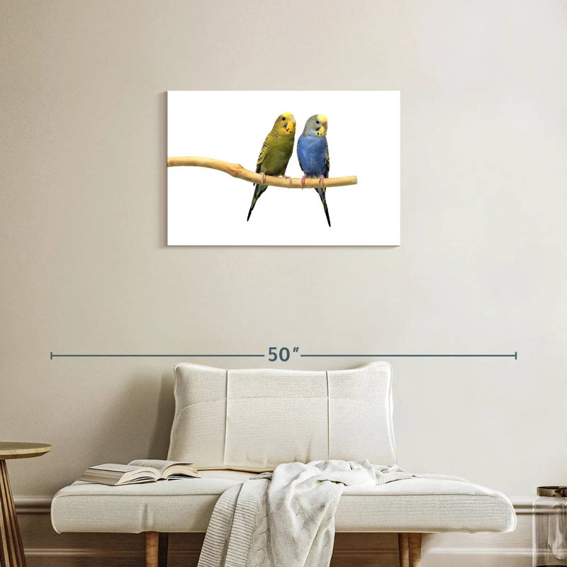 Parakeets, 20" H x 30" W