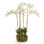 Conservatory Orchid Faux Floral