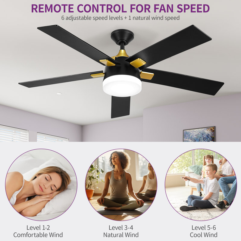 Ventilateur de plafond 52 po noir et doré Balconera