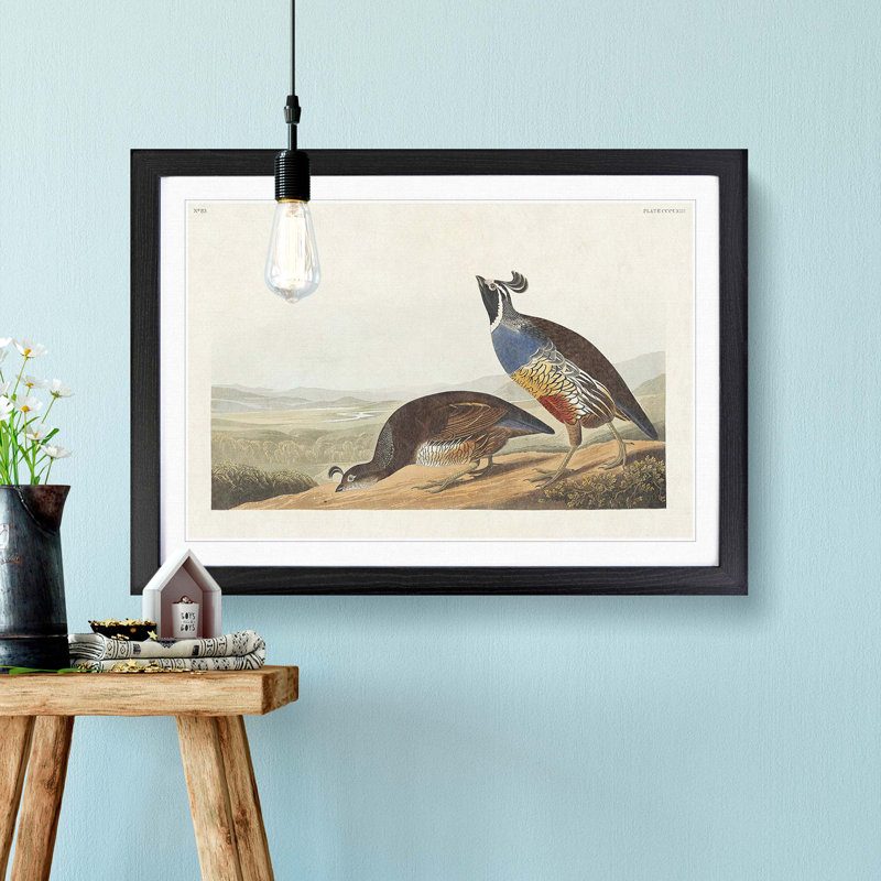 California Partridge by John Audubon - Picture Frame Painting Print, Black Framed, 27cm H x 36cm W x 2cm D