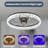 Ceiling Fan With Light