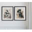 « sketchy study collie », ensemble de 2 reproductions encadrées