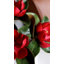 Magnolia rouge cramoisi 24 po