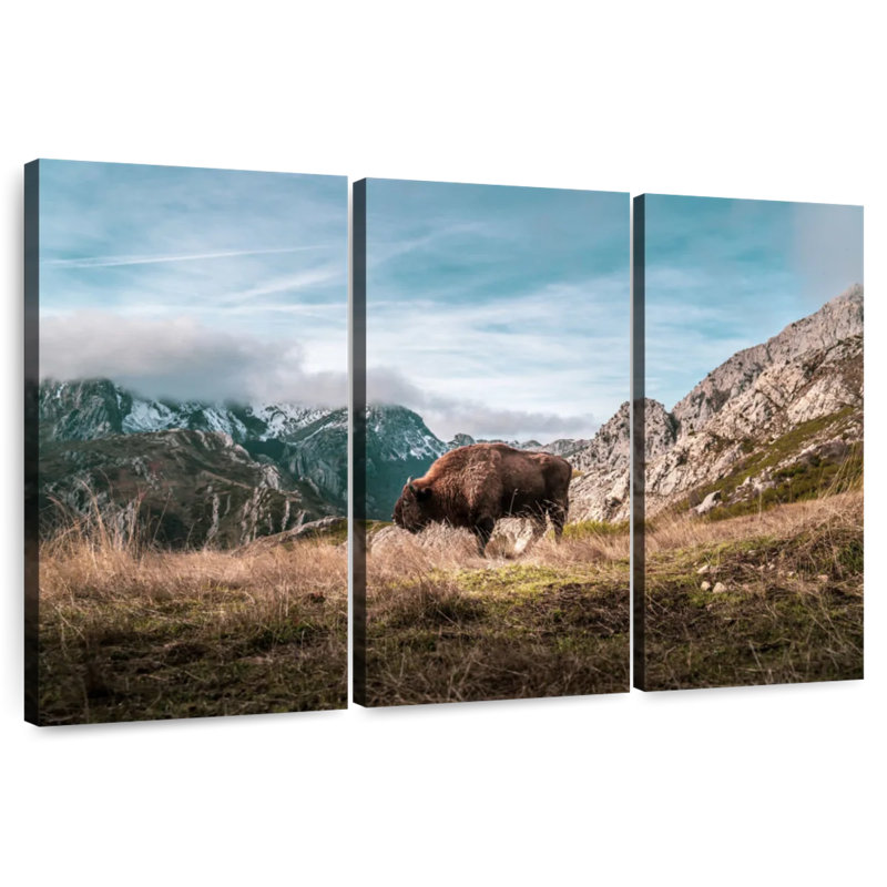 Brampt Bison On A Mountain, 24" H x 38" W