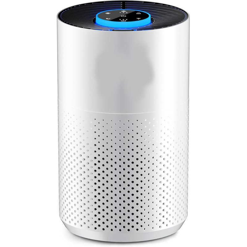 Purificateurs d'air avec filtre HEPA H14 True