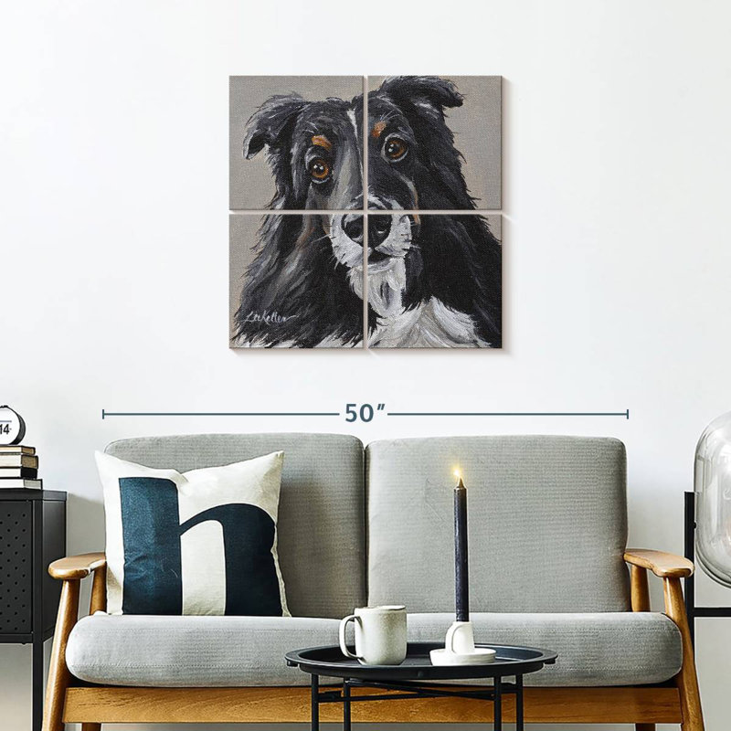 Sheltie de Brampt sur fond gris, H 26 po x l 26 po