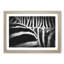 The Stripes of the Zebra - Picture Frame Painting Print-56712647-56712646