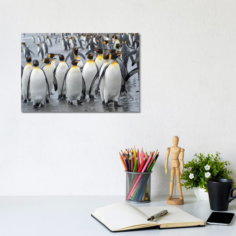 King Penguin Rookery On Salisbury Plain In The Bay Of Isles. South Georgia Island by Martin Zwick - Wrapped Canvas Print