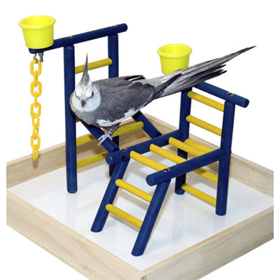 Playland en bois acrobird enfant