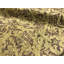 Hand-Knotted High-Quality Beige and Brown Area Rug