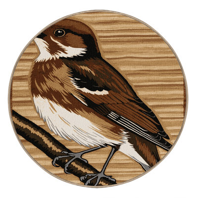 Washable Asian Brown Flycatcher Birds Area Rug