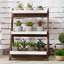 Plant Stand
