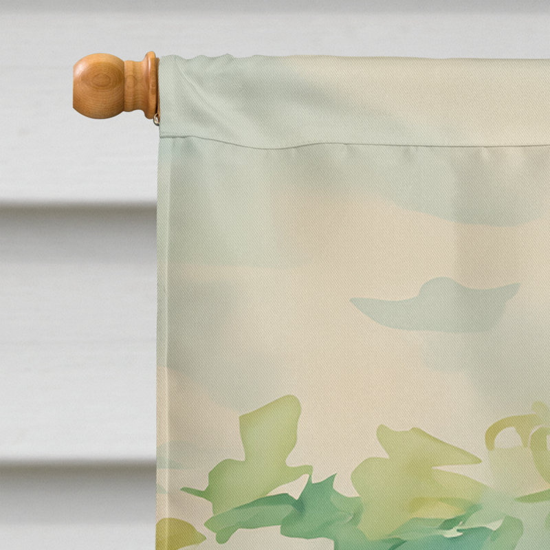 Drapeau de maison en polyester à double face H 40 po x l 28 po